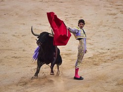 Merah yang Tak Pernah Sampai ke Mata Banteng