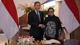 RI-Singapura Sepakat Bujuk Myanmar Jamin Repatriasi Rohingya