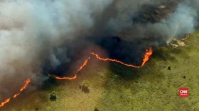 VIDEO: Api Lalap Cagar Alam Meksiko, 2.500 Vegetasi Rusak