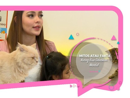 Mitos atau Fakta, Kucing Bisa Sebabkan Mandul