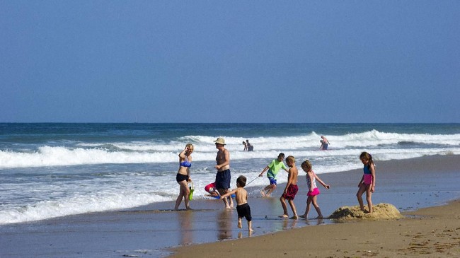 FOTO: Waspada Hiu Putih di Cape Cod