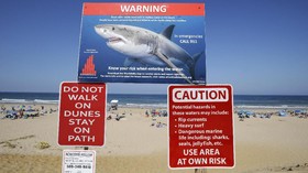 Peselancar Sepuh Tewas Akibat Serangan Hiu Putih di Australia