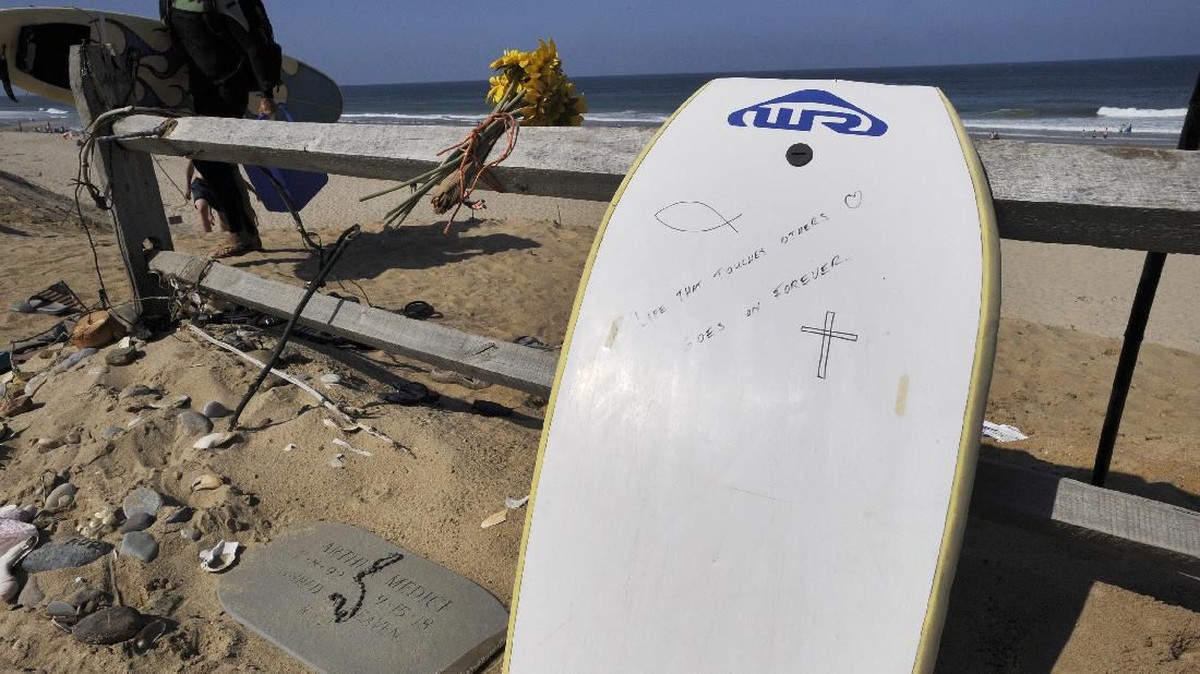 FOTO: Waspada Hiu Putih di Cape Cod