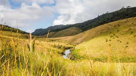 Genjot Pariwisata, Sri Lanka Gratiskan Visa untuk 48 Negara