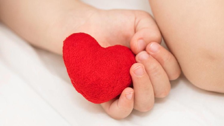 Toddler keeps red plush heart. Closeup