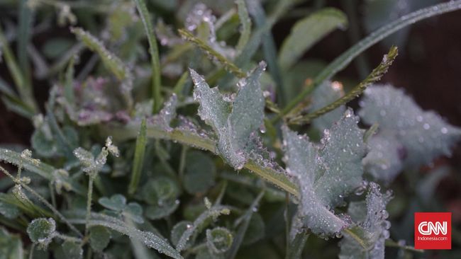 Daftar Lokasi Terimbas Bediding Yang Bikin Suhu Dingin