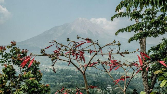 Apabila kamu berkesempatan ke Magelang, sisihkan waktu untuk menjelajah tempat wisata ini. Berikut rekomendasi wisata Magelang untuk bersenang-senang.