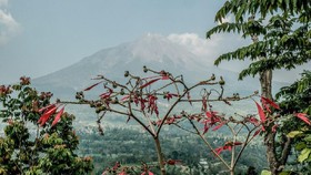 15 Rekomendasi Wisata Magelang Cocok buat Bersenang-senang