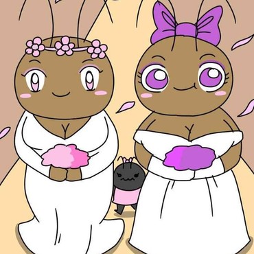 4 Webtoon dengan Karakter Utama Seekor Hewan