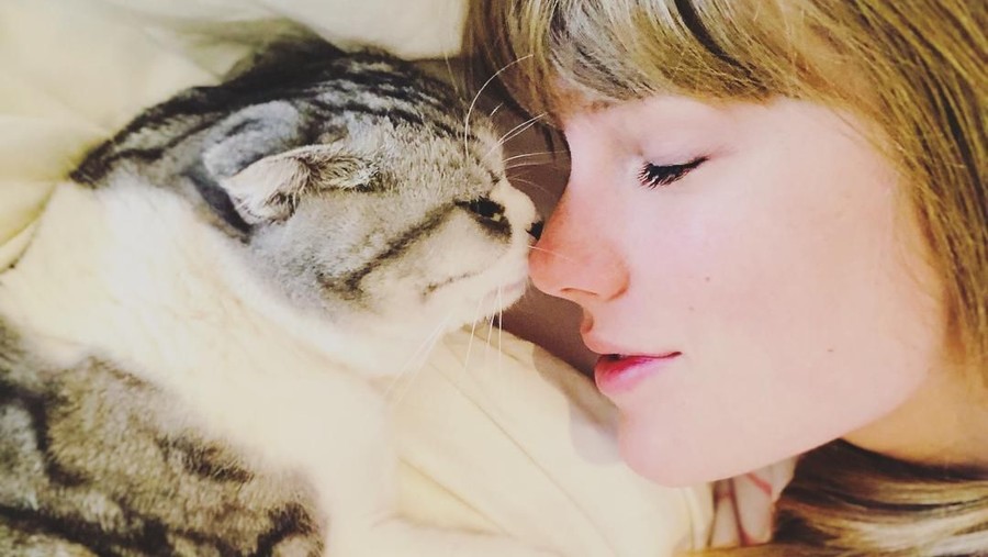 Trailer perdana Cats Movie yang mengubah penampilan Taylor Swift menjadi seekor kucing.