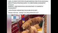 Viral Ada Hewan Hasil Klon Kambing dan Babi, Ini Faktanya