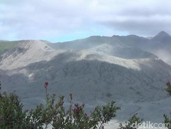 Apakah Gunung Bromo Masih Aktif? Ini Status Terbarunya