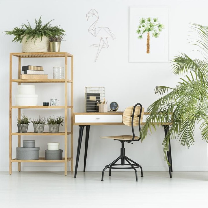 Buat Bunda yang senang dengan tanaman, bisa ditiru nih tata letak perabot dan tanaman untuk workspace di rumah. (Foto: iStock)