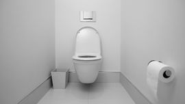 Kesehatan Keluarga Berawal dari Toilet