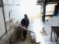 Ada 55 Kasus DBD di Rembang, Satu Meninggal
