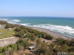 BMKG Ingatkan Potensi Gempa M 8,7 Akibat Megathrust Selatan Yogyakarta