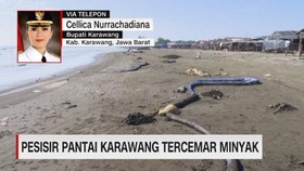 VIDEO: Pesisir Pantai Karawang Tercemar Minyak