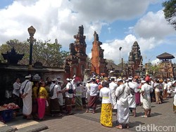 Pemprov Bali Jamin Daging Babi di Hari Raya Galungan Aman Dikonsumsi