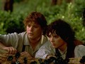 Aktor Ungkap Alasan Cabut dari Serial Lord of the Rings