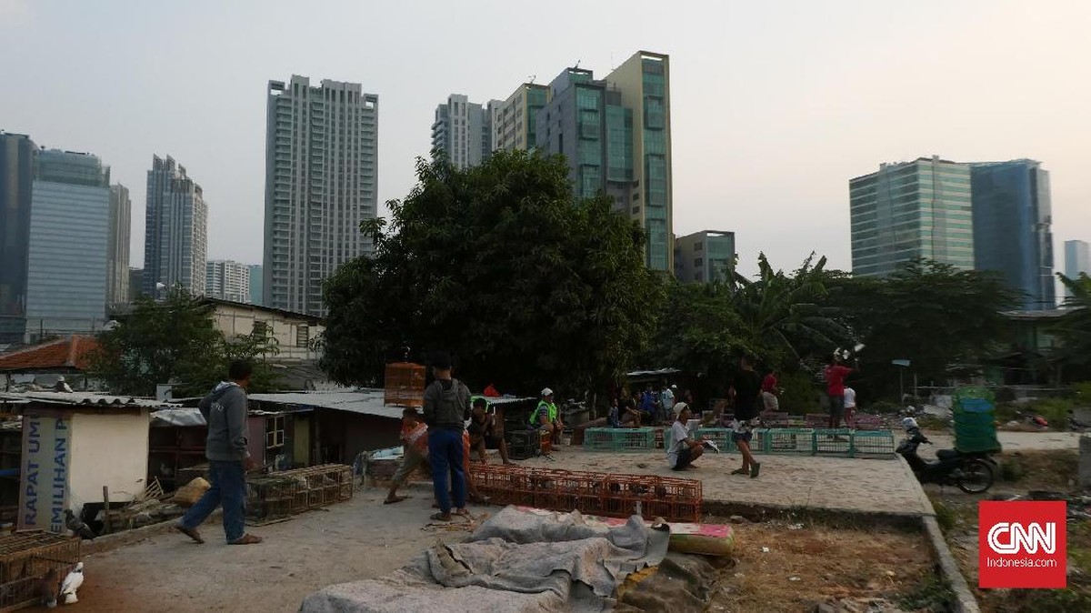 FOTO: Di Balik Hutan Beton Kota Jakarta