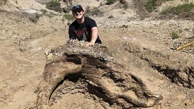 Mahasiswa Amerika Temukan Fosil Dinosaurus Usia 65 Juta Tahun