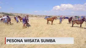 VIDEO: Menjelajahi Pesona Wisata Sumba