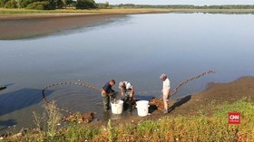 VIDEO: Danau Cagar Alam Prancis Kering, Ikan-ikan Diungsikan