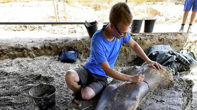 Sebuah tim peneliti menemukan bukti kehidupan dinosaurus pertama di Greenland, berupa fosil dinosaurus herbivora.