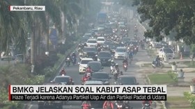 VIDEO: BMKG Jelaskan Soal Kabut Asap Tebal di Palangkaraya