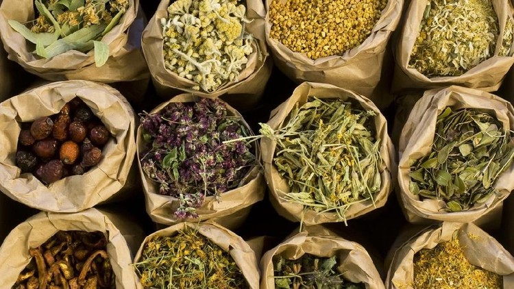 ilustrasi herbal