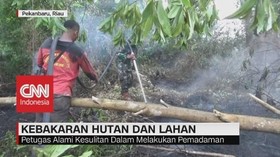 VIDEO: Kebakaran Hutan dan Lahan di Riau