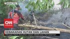 VIDEO: Kebakaran Hutan dan Lahan di Riau