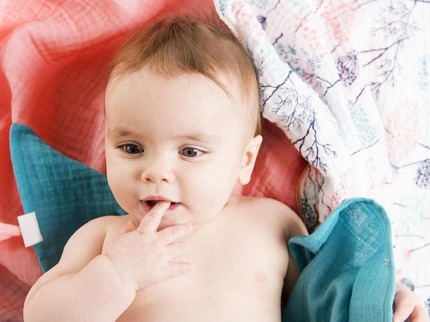 Perkembangan Bayi Usia 10 Bulan