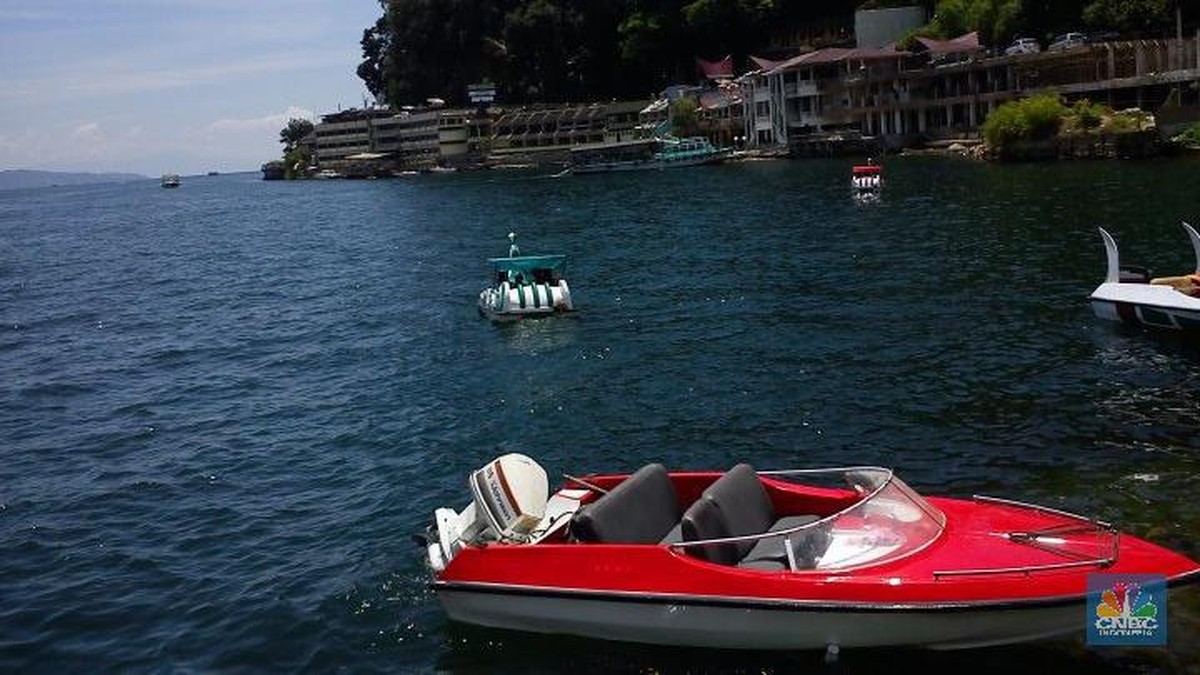 Danau Toba Surut, Ikan-Ikan Mati Massal Bergelimpangan