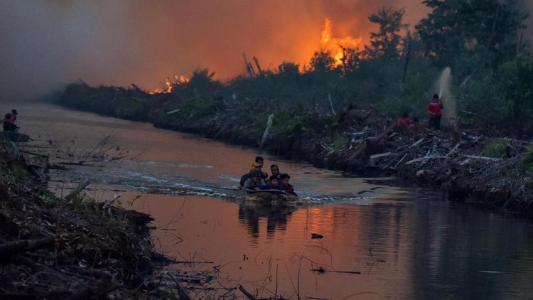 Benarkah jasad ular yang ditemukan terbakar itu memiliki kaki? Simak penjelasannya berikut, Bun.