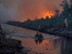 Karhutla di Riau Semakin Meluas, Sawit Warga Terbakar