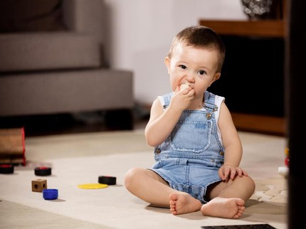Perkembangan Bayi Usia 12 Bulan