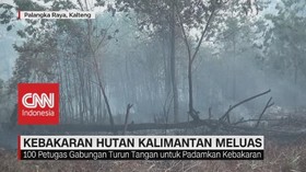 VIDEO: Kebakaran Hutan Kalimantan Meluas