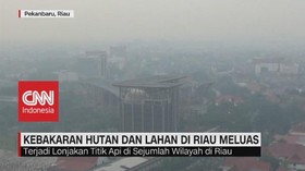 VIDEO: Kebakaran Hutan dan Lahan di Riau Meluas
