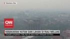 VIDEO: Kebakaran Hutan dan Lahan di Riau Meluas