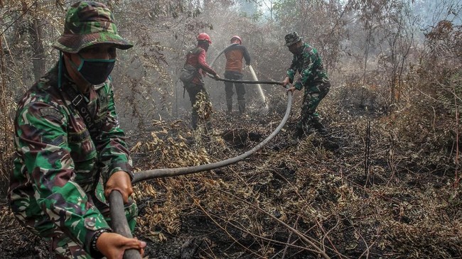 Pengerahan TNI-Polri untuk memadamkan Karhutla tak menyelesaikan masalah selama perusahaan di area kebakaran tak dipaksa untuk menangani itu.