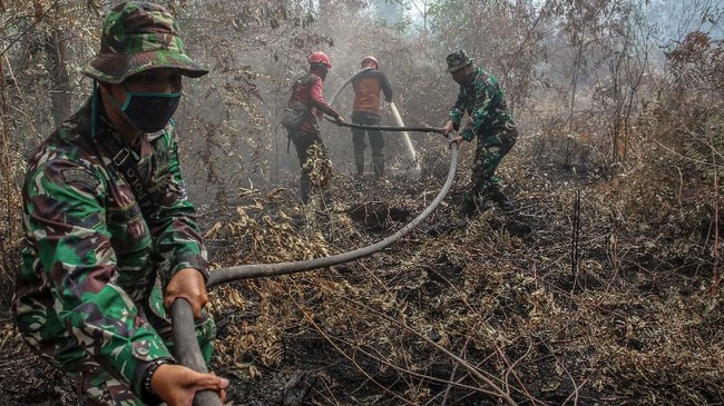 Walhi Tak Rela TNI Padamkan Karhutla yang Dipicu Korporasi Pengerahan TNI-Polri untuk memadamkan Karhutla tak menyelesaikan masalah selama perusahaan di area kebakaran tak dipaksa untuk menangani itu.