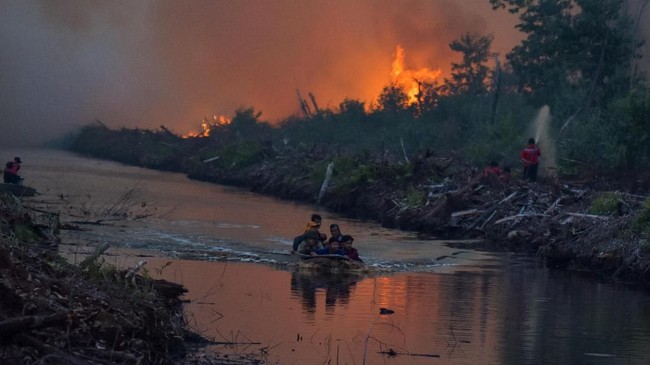 Polisi menetapkan 10 orang yang ditangkap di di Riau dan Jambi sebagai tersangka kasus karhutla, dan tak ada pihak korporasi di dalamnya.