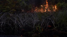 BMKG Sebut 138 Titik Panas Kepung Riau