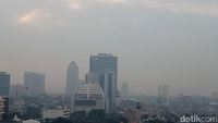 Beragam Cara Hijaukan Jakarta, Urban Farming hingga Rooftop Garden