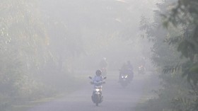 Walhi: 2.087 Titik Panas Ada di Lahan Konsesi Perusahaan