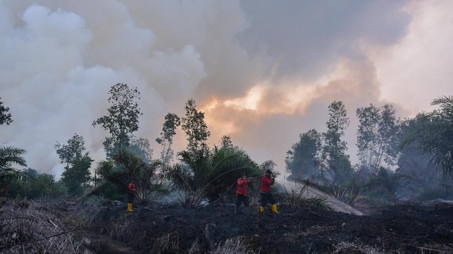 FOTO: Kebakaran Hutan di Aceh dan Riau