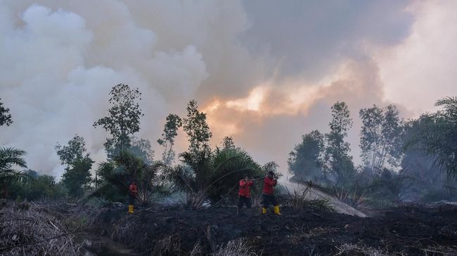 Jalan Tol Palembang-Indralaya Dikepung Kebakaran Lahan