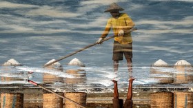 FOTO: Teriak Petambak Garam Karena Harga Tenggelam