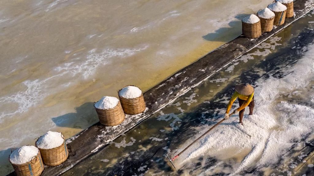 Pengusaha Ungkap Dua Alasan Garam Rakyat Kurang Dilirik Industri Mamin